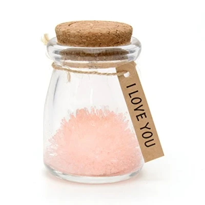 Image of I Love You, Pink LED Magic Grow Your Own Crystal Garden Wish Flower Jar Growing Kit