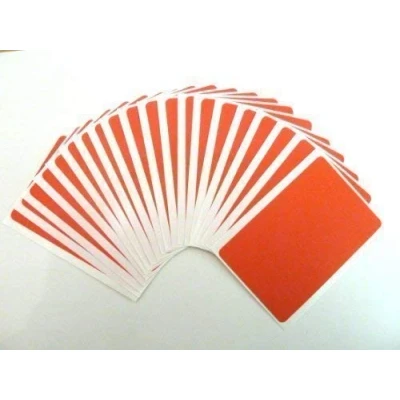 Image of 20 Labels, 99x65mm Rectangle, Red, Colour Code Stickers, Self Adhesive Sticky Coloured Labels