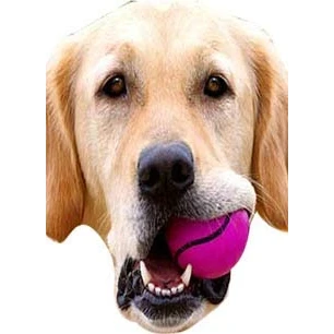 Image of FoxyPrinting Bouncer Neighbour Celebrity Cardboard Party Face Mask Fancy Dress