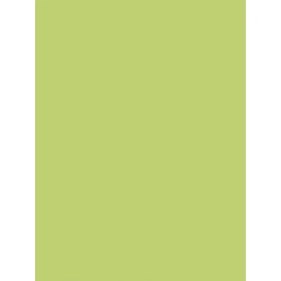 Image of Clairefontaine Ref 384519C Maildor Coloured Poster Paper (Pack of 25 Sheets ) 60 x 80cm in Size, 90gsm Suitable for Cutting, Writing &amp; Collaging Apple Green
