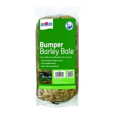 Image of Bermuda Barley Straw Natural Algae control Bumper Bale