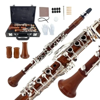 Image of Yinfente Intermediate B Flat Clarinet Rosewood wood Body Nickel Plate Bb key 17 Case + Reeds Pads