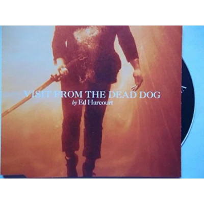 Image of Ed Harcourt Visit From The Dead Dog 2006 UK CD single HVN157CD