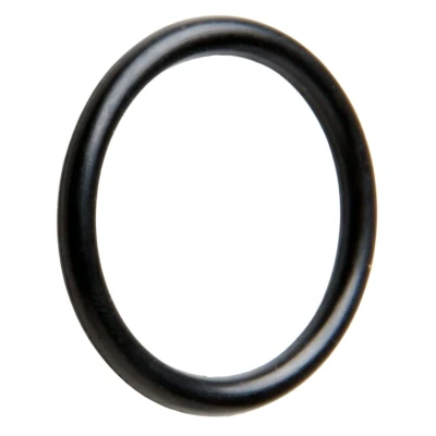 Image of hansgrohe O Ring 17x2mm (98199000)