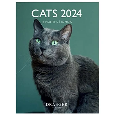 Image of DRAEGER PARIS Small Hanging Wall Calendar Cats 2024 14 x 18 cm 16 Months September 23 to Dec 24 7 Languages Office Kitchen Home Monthly FSC® Certified Paper Vegetable Inks
