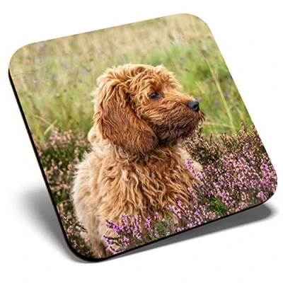 Image of Great Single Coaster Square Fluffy Cockapoo Puppy Dog Glossy Quality Coasters Tabletop Protection for Any Table Type #2703