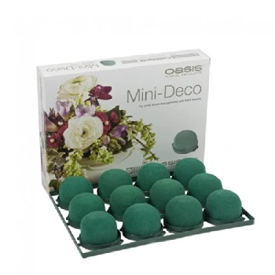 Image of FloristryWarehouse Oasis Mini Deco Wet Foam Domes x 12