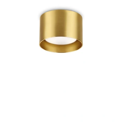 Image of Spike Round Surface Mounted Downlight Brass