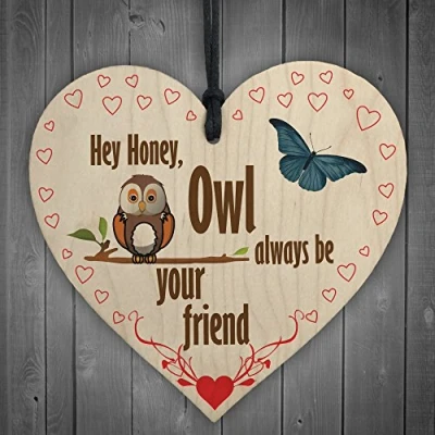 Image of RED OCEAN Owl Always Be Your Friend Wooden Hanging Heart Plaque Sign Cute Friendship Gift