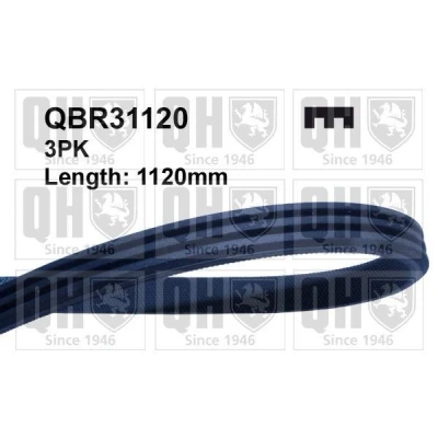 Image of 9936331120, 9936391120 V ribbed belt QUINTON HAZELL QBR31120 1120mm 3