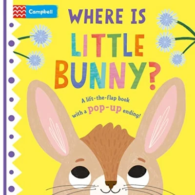 Image of Where is Little Bunny?: the lift flap book with a pop up ending! (Where Little..., 1)