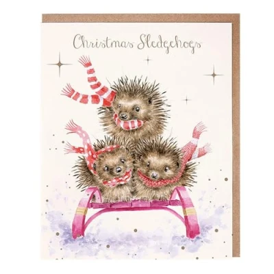 Image of Wrendale Designs Christmas Cards Pack of 8 Sledge Hogs Hedgehog Card Pack, WHITE, 101mm x 152mm