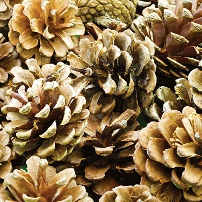 Image of Baker Ross AF923 Natural Pine Cones, Ideal for Arts and Crafts Projects, Collage or Decoration (Pack of 25)