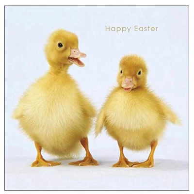 Image of UK Greetings Easter Card for Him/Her/Friend with Envelope Ducklings Design