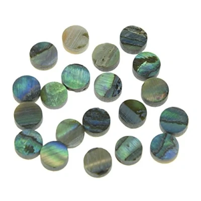 Image of Dopro 20pcs 5mmx2mm Guitar Bass New Zealand Abalone Shell Inlay Material Fingerboard Dots