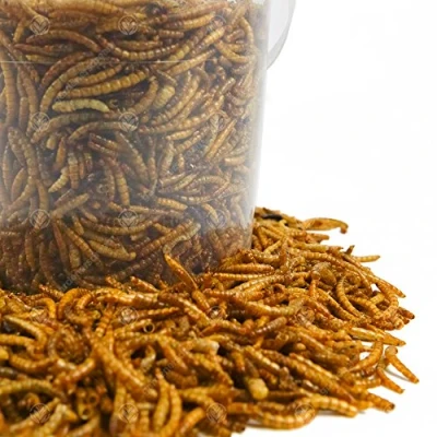 Image of GardenersDream Dried Mealworms Mix Wild Bird Food Large Variety