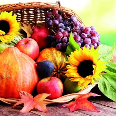 Image of 20 Napkins Basket Full Harvest Sunflower Fruit Autumn Table Decoration 33 x cm