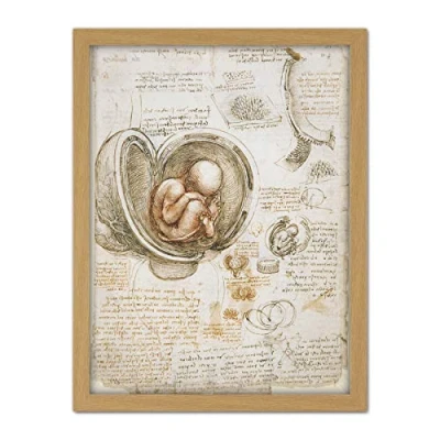 Image of Artery8 Leonardo Da Vinci Studies Of The Foetus In Womb Artwork Framed Wall Art Print 18X24 Inch
