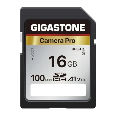 Image of Gigastone 16GB SD Card V10 SDHC Memory High Speed Full HD Video Compatible with Canon Nikon Sony Pentax Kodak Olympus Panasonic Digital Camera, 1 mini case