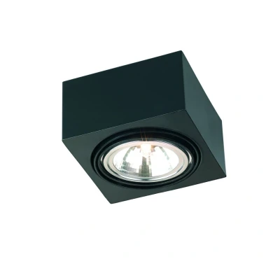 Image of Rodos Single Surface Mounted Downlight Black Structure