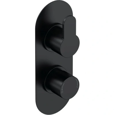 Image of Aquari Curvo Concealed Thermostatic Shower Valve Black, Twin Outlet
