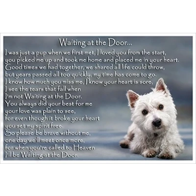 Image of West Highland White Terrier Westie bereavement pet dog loss memorial Flexible Fridge Magnet Waiting at the Door