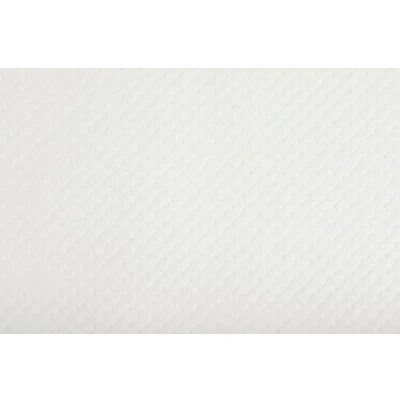 Image of Disposable placemat In matte white embossed paper Format 30X40 cm colour Made France trays of 500 sets.