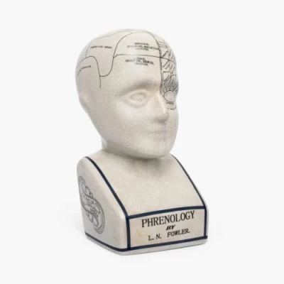 Image of ACL Phrenology Head Ceramic Ornament Collectable Retro Bust Glaze finish Doctor’s desk LN Fowler Fortune Telling Statue Brain senses 28CMs White