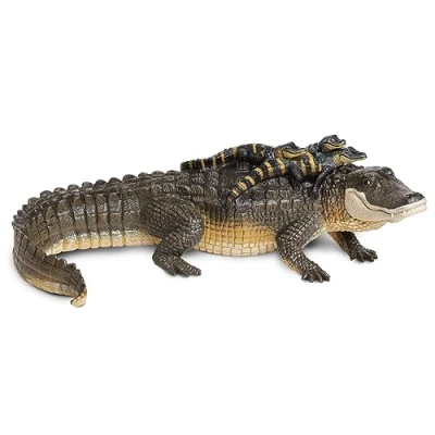 Image of Alligator With Babies
