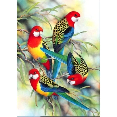 Image of OWN4B Cross Stitch Kits Stamped, Birds on Branch Printed Pattern 11CT 14.2x18.1 inch DIY Embroidery Kit (Birds)