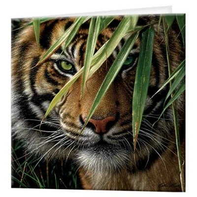 Image of 3D LiveLife Greeting Card Emerald Forest from Deluxebase. Lenticular Blank Cards with Envelopes. Tiger All Occasion featuring Original Artwork by Collin Bogle.