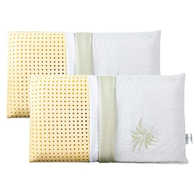 Image of EVERGREENWEB 2 Pack Memory Foam Pillow 40x70 High 12 cm Double Cover Aloe Vera and Cotton Removable for Cervical Spine Neck, Pain, Hypoallergenic, Anti dust mite