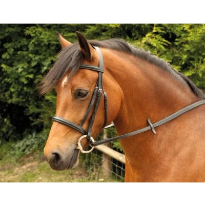 Image of Windsor Equestrian Horses Bridle Black Cob