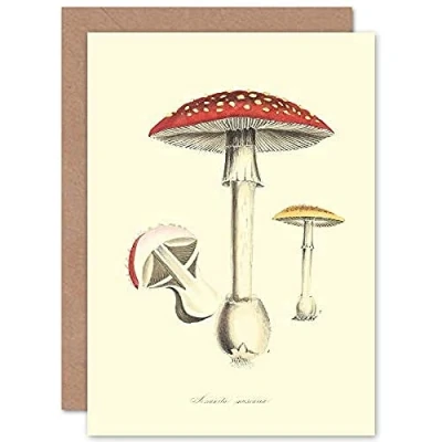 Image of Wee Blue Coo Fungus Amanita Muscaria Fly Agaric Magic Mushroom Greeting Card With Envelope Inside Premium Quality