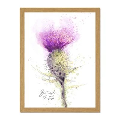 Image of Wee Blue Coo Scottish Thistle Flower Head Watercolour Scotland Large Framed Art Print Poster Wall Decor 18x24 inch