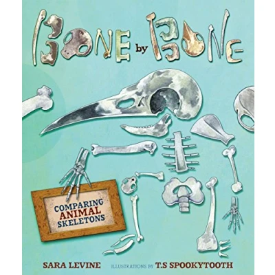 Image of Bone By Bone: Comparing Animal Skeletons (Millbrook Picture Books)