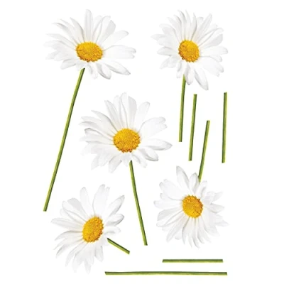 Image of PLAGE 157063 STICKERS WALL ADHESIVE Daisy, 2 Sheets, 29,7 x 21 cm