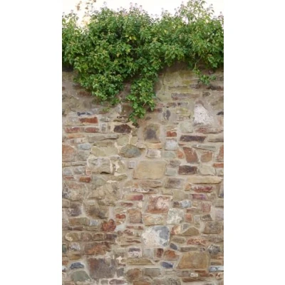 Image of Metropolitan Stories Mural Leafy Brick Wall 392471