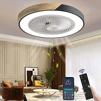 Image of Wildcat Ceiling Fan with Lighting, LED Light Remote Control Invisible Quiet Lamp for Dining Room Living Bedroom