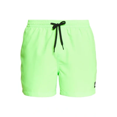 Image of Quiksilver Everyday Volley 15 Swimming shorts, Men&#039;s, Size: XL, Green gecko