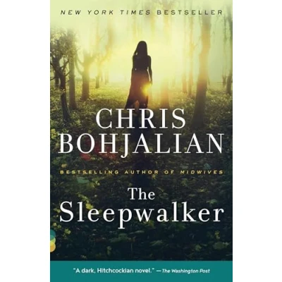 Image of The Sleepwalker (Vintage Contemporaries)