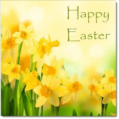 Image of doodlecards Pack of 8 Easter Cards Daffodils, Standard Square