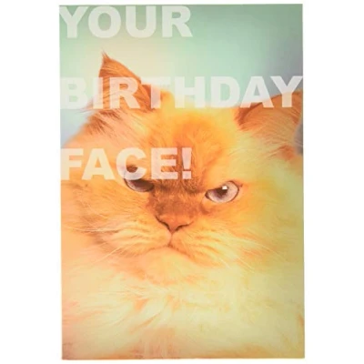 Image of Hallmark Shoebox Collection Birthday Card Funny Photographic Angry Cat Design
