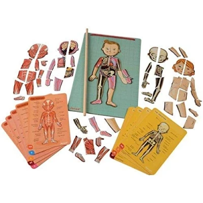 Image of Janod Bodymagnet Educational Human Body Game Anatomy, Organs, Skeleton, Muscles 76 Magnetic Pieces From 7 Years Old, 12 Languages, J05491