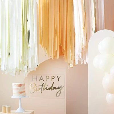 Image of Ginger Ray Peach and Gold Foil Paper Streamer Party Photo Backdrop Ceiling Decoration 320m