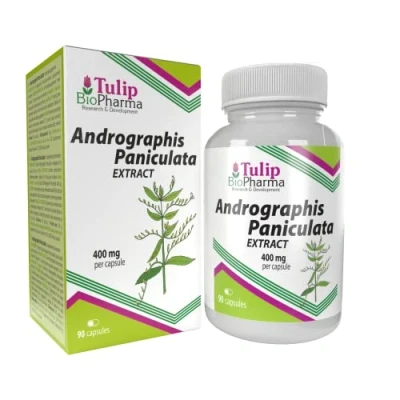 Image of Andrographis Paniculata 400mg 90 Capsules, 3rd Party lab Tested, High Strength Supplement
