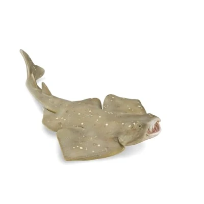 Image of CollectA Angel Shark Realistic Toy, Sea Animal Toys For Kids, Figures, Toys, Ideal Imaginary Play, 3 Years +