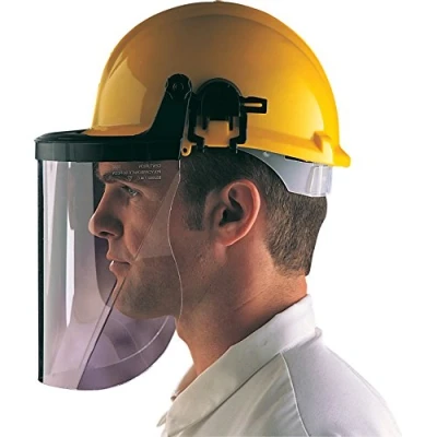Image of Centurion S590 Polycarbonate Clear Face Screen 225 mm 9 Inch