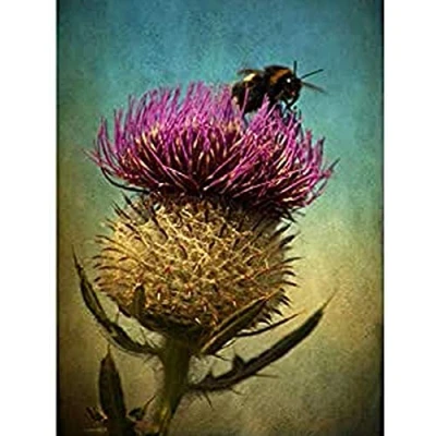 Image of Wee Blue Coo Bumble Bee and Thistle Unframed Wall Art Print Poster Home Decor Premium