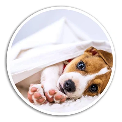 Image of 2 x 10cm Jack Russell Terrier Vinyl Stickers Puppy Dog Sticker Laptop #8286 (10cm Wide)
